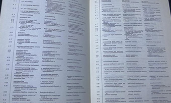 香港斯洛伐克語翻譯公司推薦(更專業全面的翻譯服務)