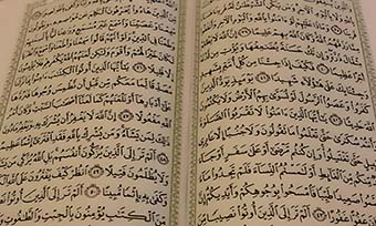 哪裏可以提供專業的波斯語翻譯(中亞小語種翻譯供應商推薦)