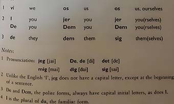 丹麥語翻譯服務推薦(翻譯公司的專業品質保障)