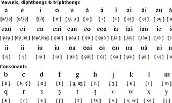 羅馬尼亞語翻譯推薦(專業翻譯公司的服務保障)