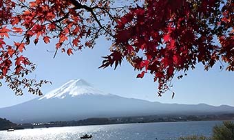 哪些翻譯公司可以提供專業的日語翻譯