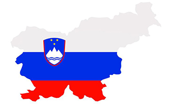 哪些翻譯公司可以提供專業斯洛文尼亞語翻譯