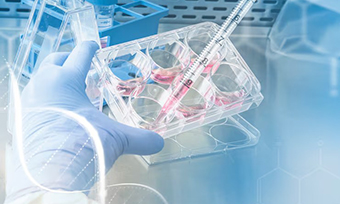 生物制藥翻譯公司推薦(國內十大醫學翻譯品牌排名)